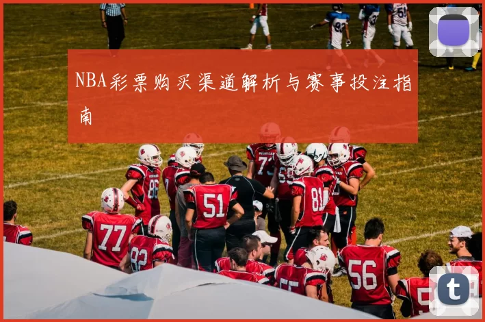 NBA彩票购买渠道解析与赛事投注指南
