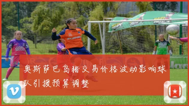 奥斯萨巴岛猪交易价格波动影响球队引援预算调整